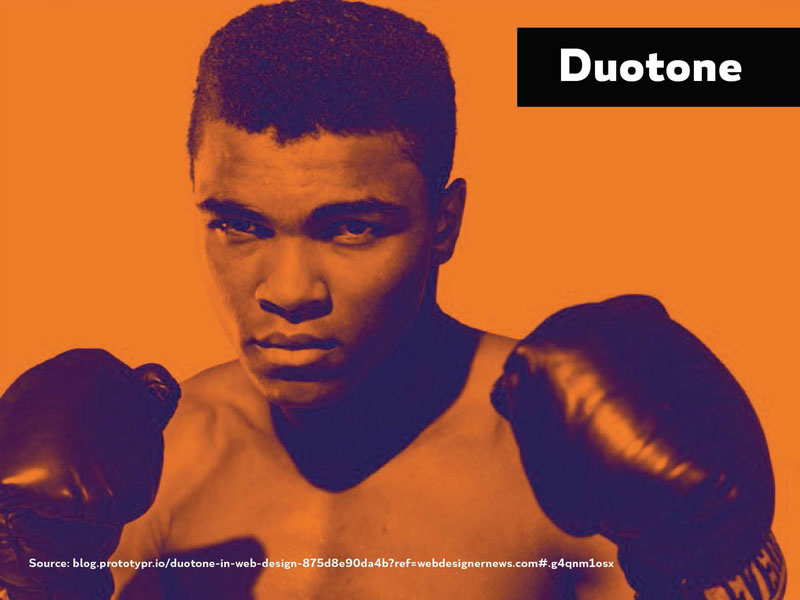 2016 Design Trends - Duotone1