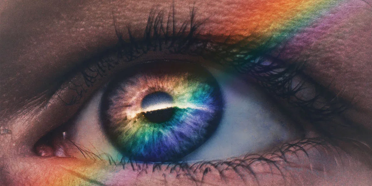 A Comprehensive Guide To Website Accessibility image Color and Genetics
