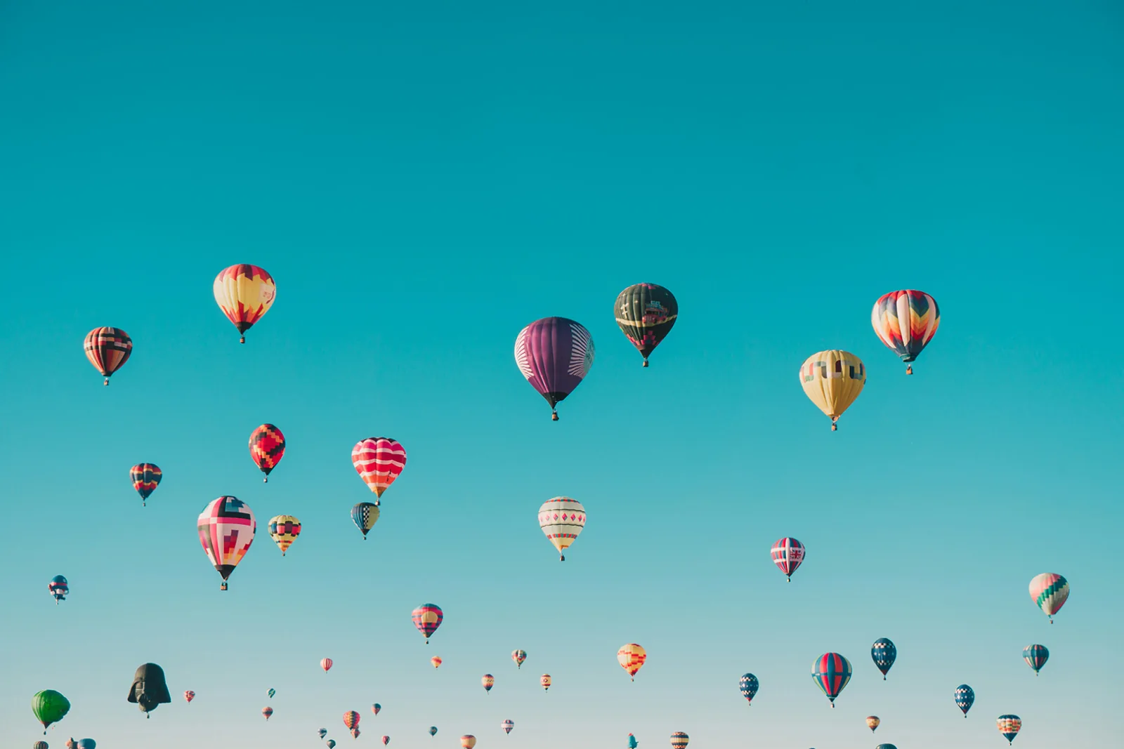 Designing Websites That Engage, Delight, and Sell image launching your website
