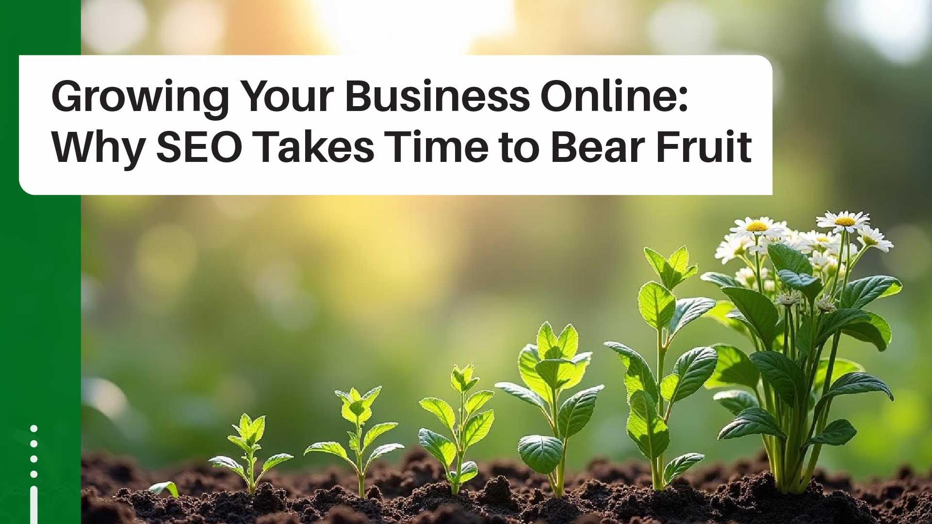 Why Your SEO Needs 12 Months to Succeed