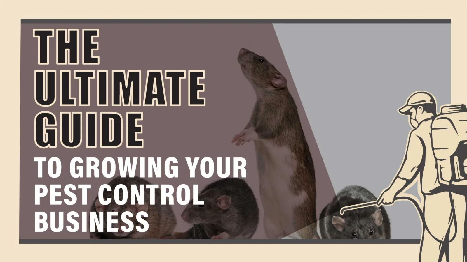 Growing Your Pest Control Business: The Ultimate Guide
