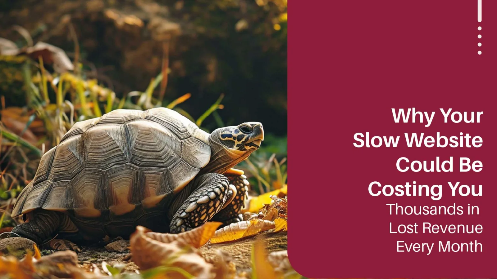 How Your Slow Website is Costing You Thousands Monthly