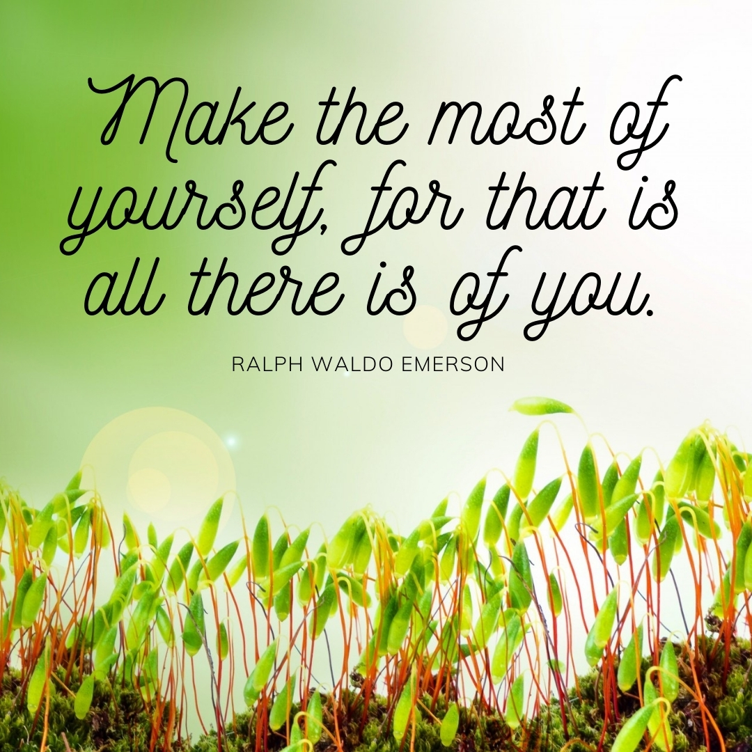 52 Quotes to Motivate and Inspire You image cube-creative-design-quotes-for-social-media-36 52 Quotes to Motivate and Inspire You