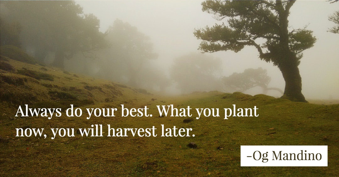 Always do your best. What you plant now, you will harvest later. &ndash;Og Mandino quote