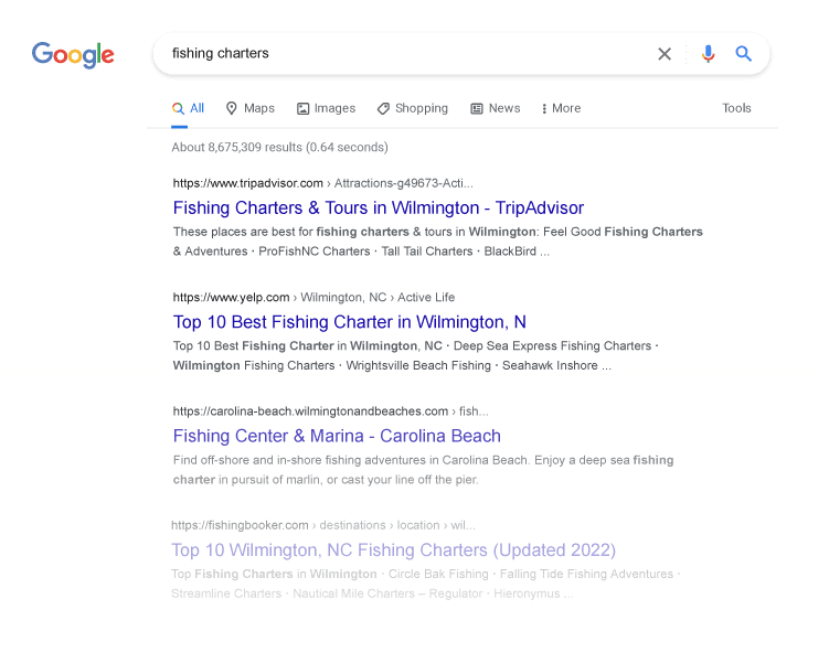Local SEO Help for Small Businesses image Google Page Fishing Charters Directories