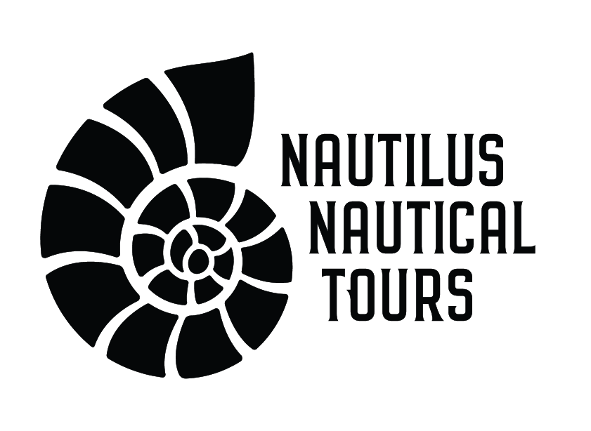 A Deep Dive Into Google My Business Listings image Google My Business Nautilus Nautical Tours