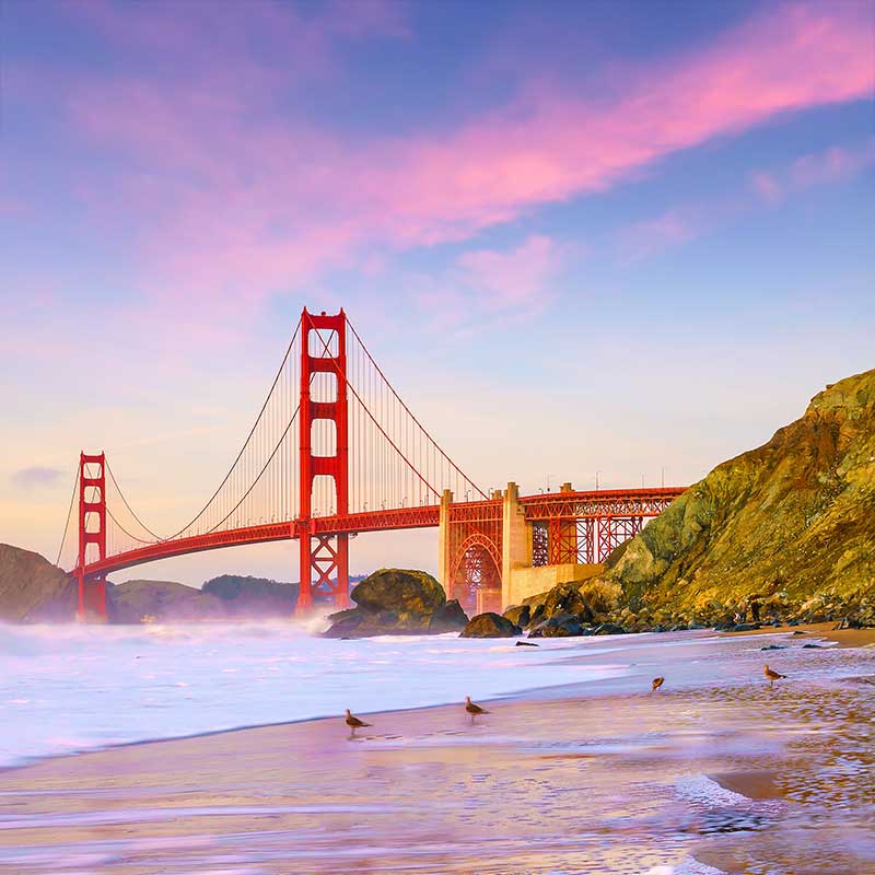 San Francisco School Marketing: Attract Students image San Francisco, CA