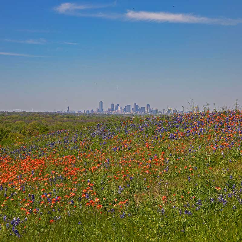 Dallas, Texas School Marketing: Attracting More Students image Dallas, TX