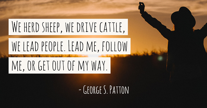 We herd sheep, we drive cattle, we lead people. Lead me, follow me, or get out of my way. -George S. Patton