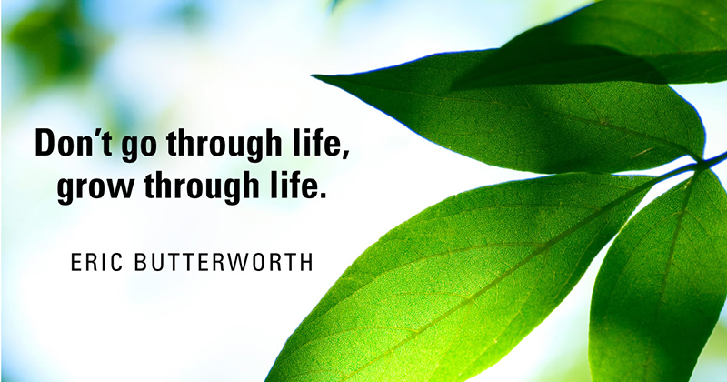 Don&rsquo;t go through life, grow through life. -Eric Butterworth